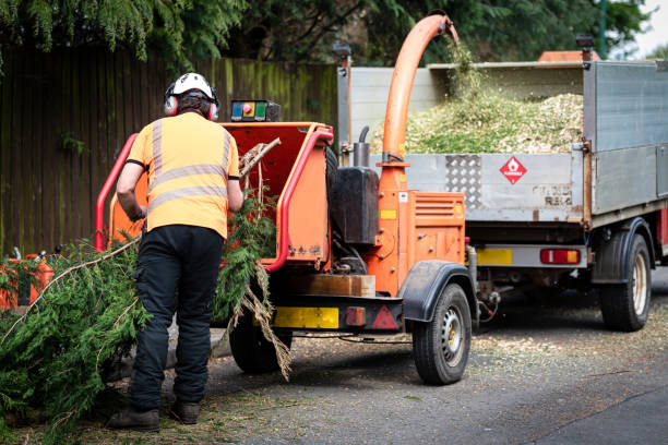 Best Firewood Processing and Delivery  in Marquette Heights, IL