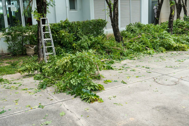 Lawn Maintenance Plans in Marquette Heights, IL